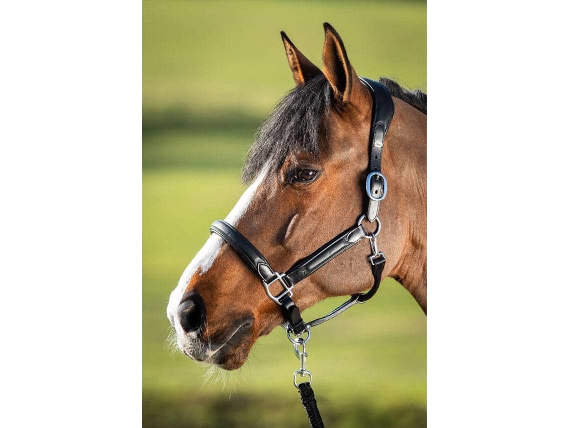 Cabresto de couro para cavalos HFI Wave