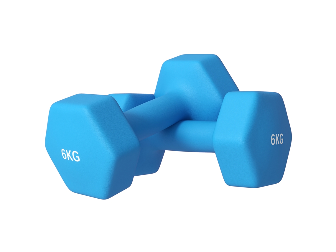 Set 2 Halteres Hexagonais 2x6kg em Metal e Plástico com Pegada Antiderrapante.22x10x10 Cm.azul BTFORUS