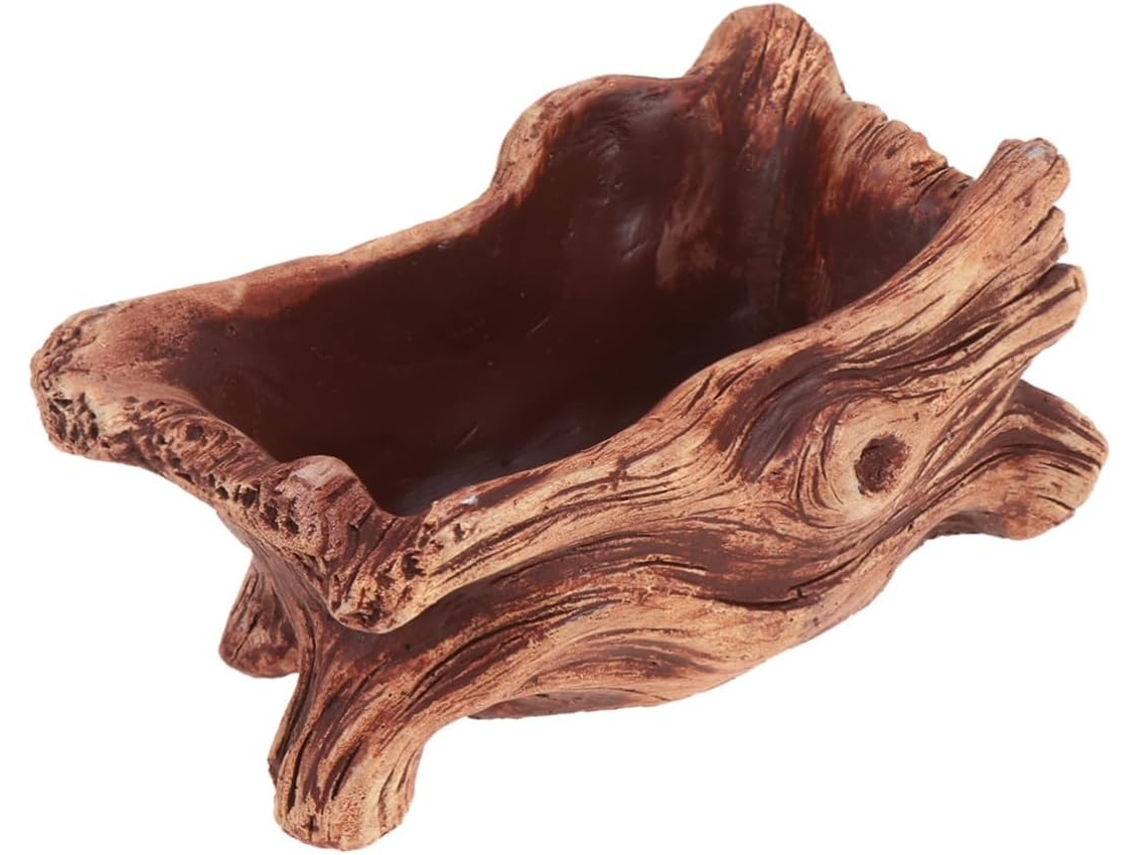 Maceta de cemento, lavabo impermeable, diseño de raíz de madera para plantas suculentas, decoración para el hogar