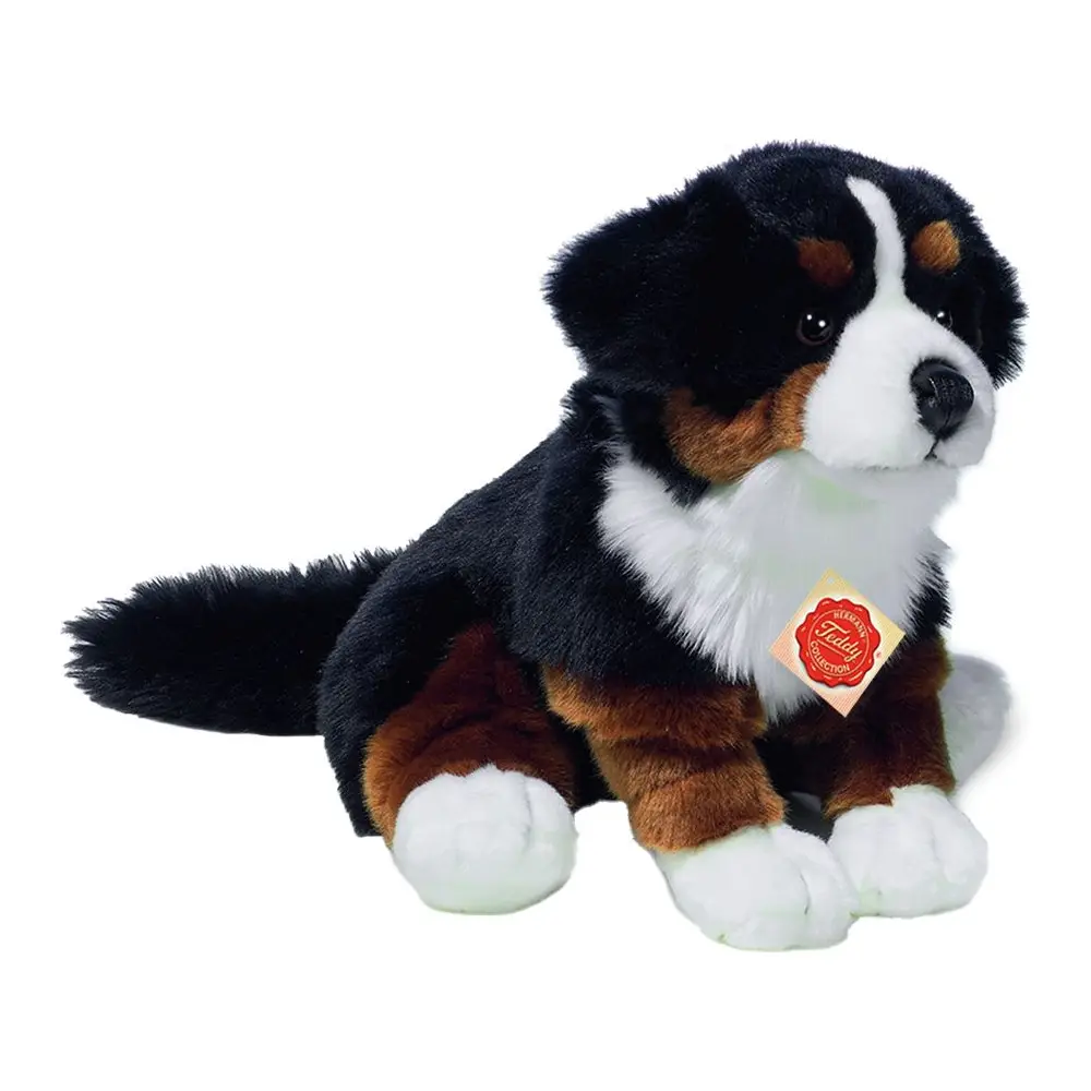 Hermann Teddy, Um Cão Da Raça Bernese Mountain Dog Sentado, Com 29 Cm De Altura.