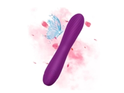 Vibradores Femininos Com 10 Poderosos Modos De Velocidade Brinquedos Sexuais Púrpura Ushion