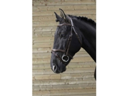 Cabresto Aparado Cinzento Cobnorton Equestrian