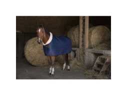 Manta para cavalos Equithème Teddy 0g