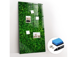 Quadro De Vidro Magnético Cerca De Folhas De Plantas Para O Quarto Das Crianças Espelharte (60x120 Cm)