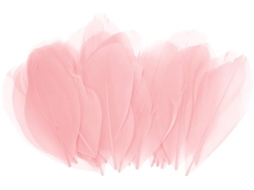 100 Stuks Veren Om Te Knutselen, Champagne 3,57 - 9,3 Cm Natuurlijke Ganzenveren Pluizige Pluim Voor Bruiloft Tafelstukjes/dromenvanger, Doe-het-zelf