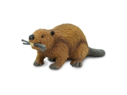 SAFARI Beaver