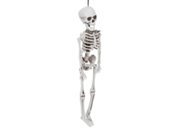 Laxiscreed Esqueleto De Resina Com Articulações Móveis Para Decoração De Halloween