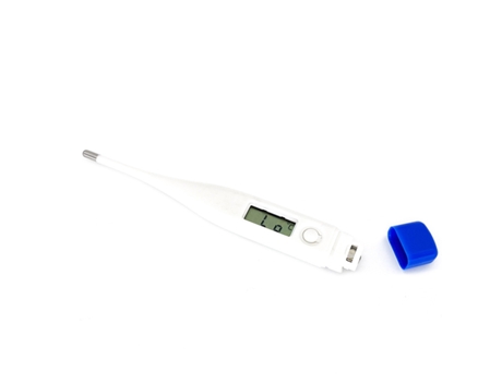 Termómetro Digital LCD Display com Alarme de Febre