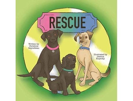 Livro Rescue (Dreambuilt Kid Series) Christine Reynebeau (Inglês)
