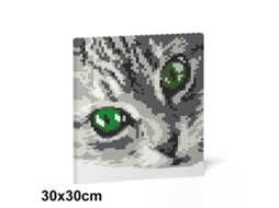 Jekca Bricks Cat Eyes Brick Painting 01s-m02 St24cce01-m02