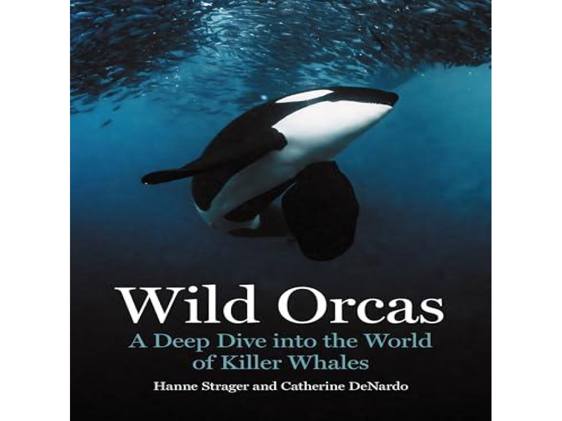 Livro Wild Orcas de Catherine DeNardo (Inglês)