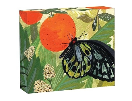 Livro Butterflies QuickNotes de Becca Stadtlander (Inglês)