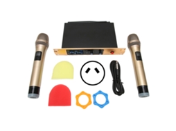 Sistema de Microfone Sem Fio LAXISCREED