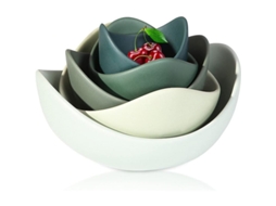 Tigelas de Salada Nova Line em porcelana, 5 peças, forma de lótus, microondas, marca S/MARCA