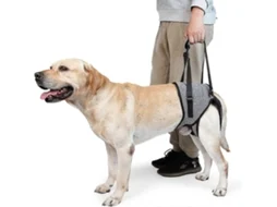 Sling Para Cães Grandes Suporte Para Pernas Traseiras E Reabilitação