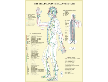 Livro Special Points In Acupunture -- A4 De Jan Van Baarle (inglês)