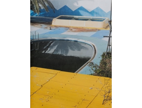 Livro Far East de LAY GERALDINE (Inglês)