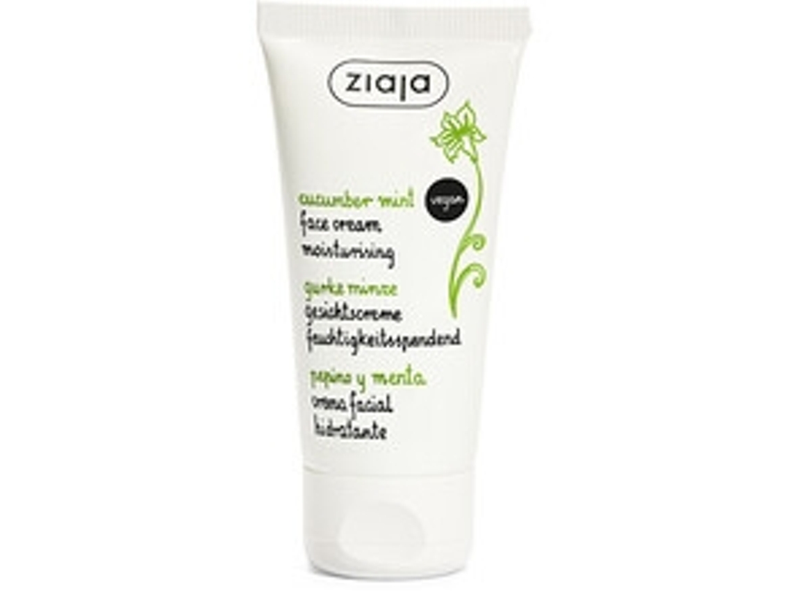 Creme Facial Hidratante Pele Mista/oleosa 50 Ml - Pepino E Menta