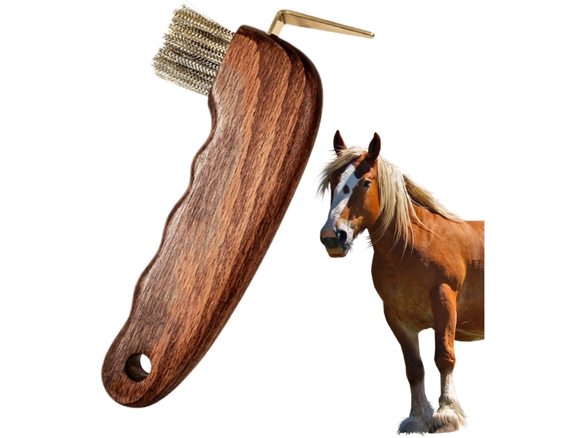 -Lavador de cascos Chirchet para cavalos Sabts