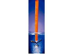 Davis Instruments Key Buoy