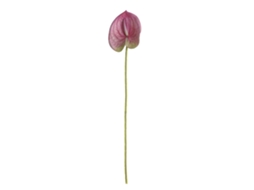 Laxiscreed Arranjo De Flores Artificiais Pequeno Com Anthurium Vermelho Para Decoração De Interiores