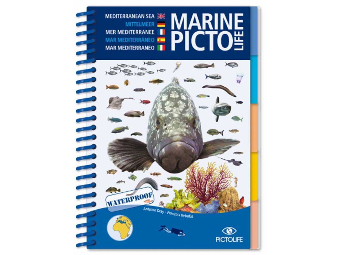 Merchandising De Mergulho SCUBA GIFTS Caribenho marine pictolife