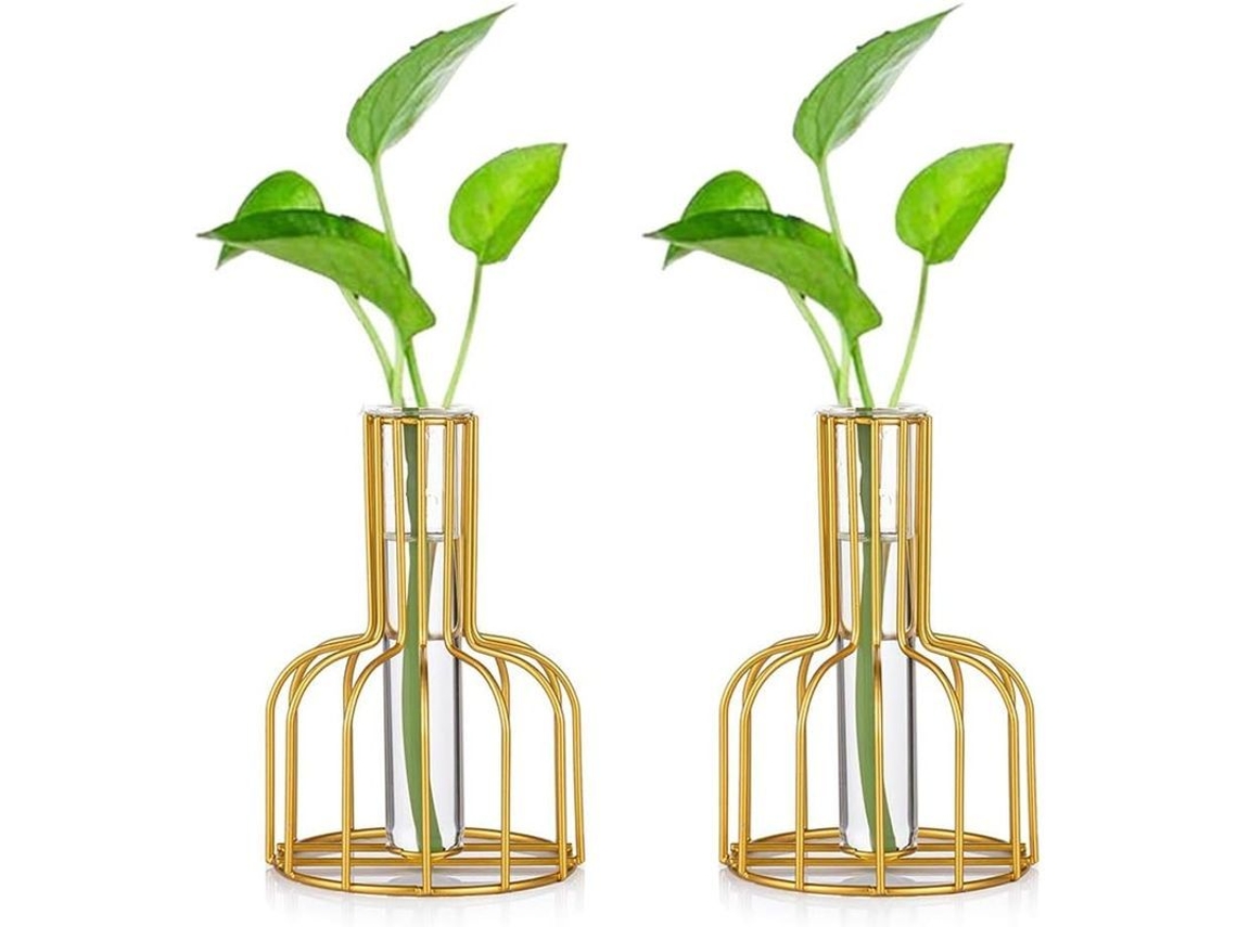 Estação de Propagação Nova Line de Vidro com Aro de Metal, 2 Vases Pequenos para Decoração Gold 2025