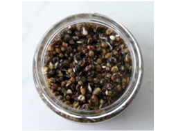 Sementes de Chenevis Cozidas 212 Ml RAMEAU