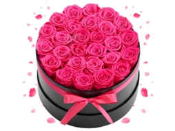 27 Rosas Eternas Em Caixa Redonda Preservadas Rosa Vermelha 227 X 227 X 140 Mm Vevor
