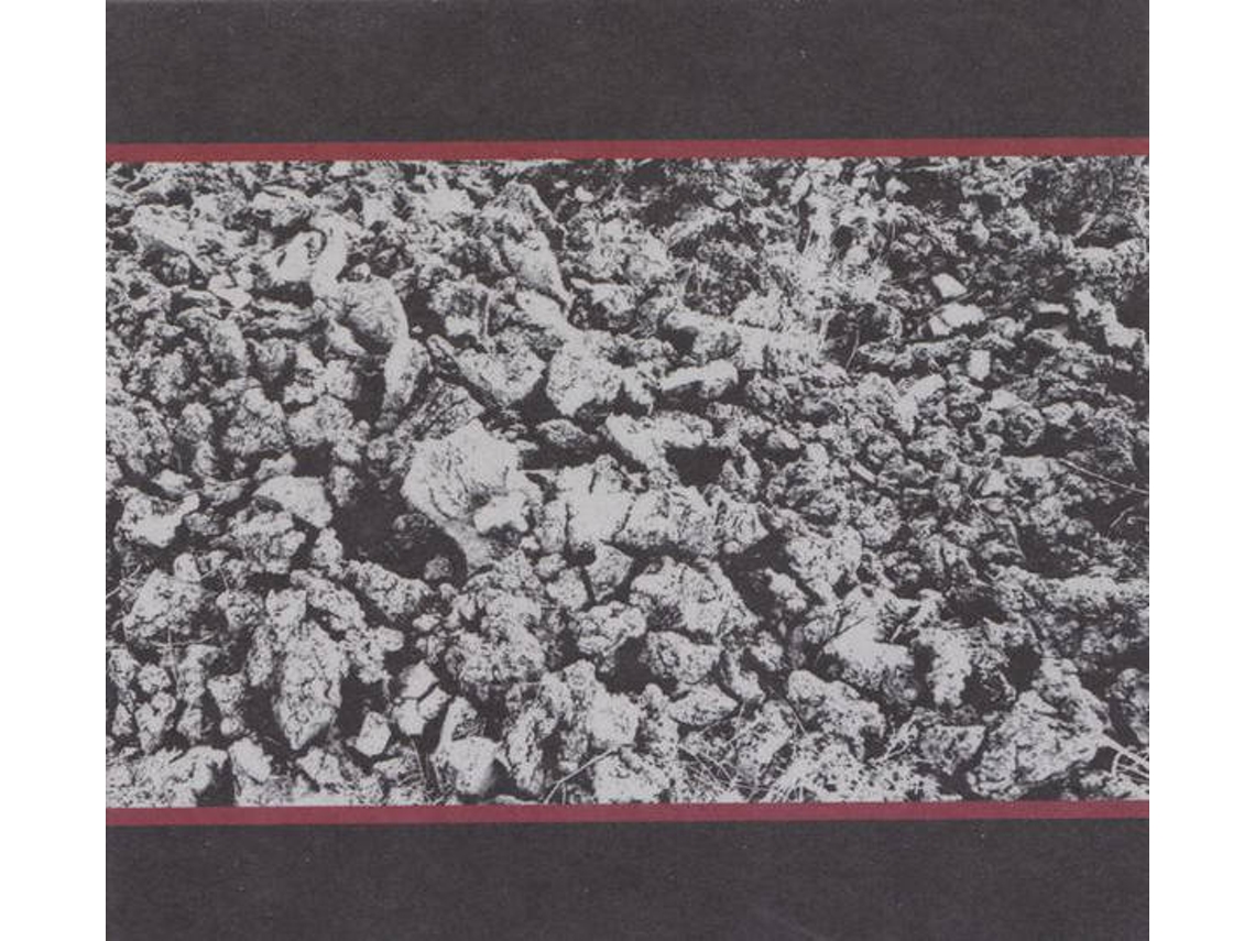 CD Mike Coykendall - Half Past, Present Pending (1CDs)