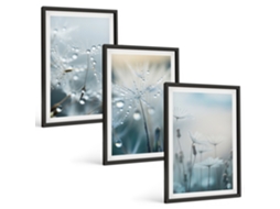 Conjunto De Pinturas Gotas De Orvalho Em Dentes-de-leão Moldura Preta Imagens Para Um Quarto Infantil Espelharte (3 Piezas De 40x60 Cm)