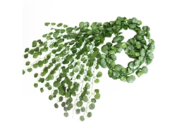 Laxiscreed Planta Artificial De Folhas Redondas Com 12 Vagens De Hera Para Decoração De Interiores