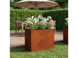 Vidaxl Vaso De Jardim Ferro Enferrujado 60 X 30 X 40 Cm Aço Corten