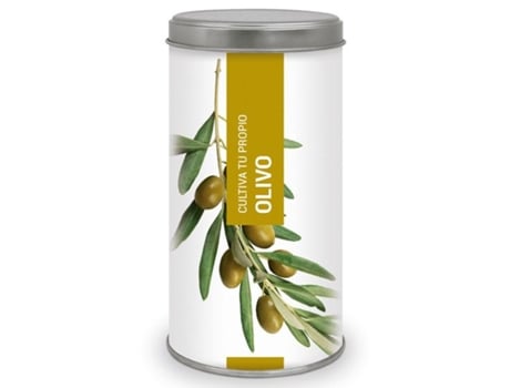 Cultiva A Tua Própria Oliveira