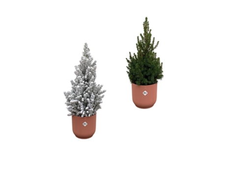 Árvore de Natal Incluindo Maconha Elho 2 Peças 60 Cm EVERSPRING
