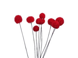 Laxiscreed Flores Secas Artificiais Para Decoração De Casa E Jardim Billy Ball Flowers