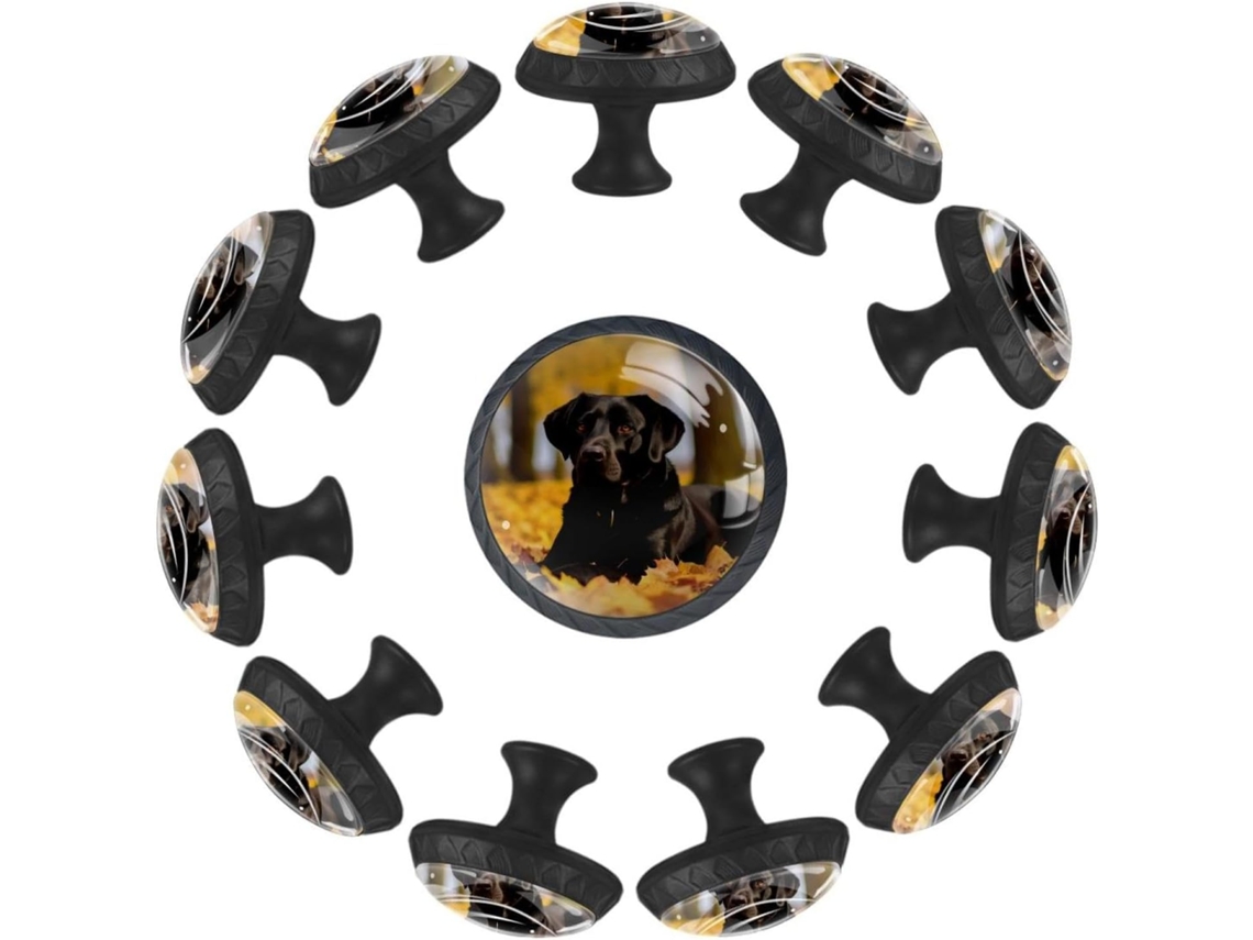 Puxadores Redondos Para Armários De Cozinha, Puxadores Para Armários E Gavetas, 12 Peças, Cachorro Labrador Retriever