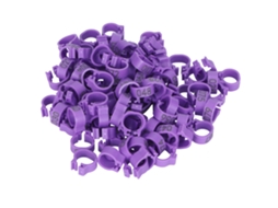 100 Anilhas para Patas de Pombas Numéricas de Identificação Ave Galinha Roxo S/MARCA