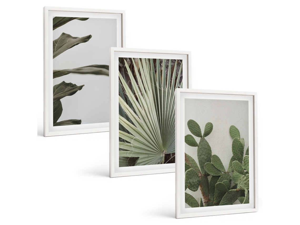 Conjunto De Pinturas Folhas De Plantas Tropicais Em Tons Pastel Espelharte (3 Peças 40x60 Cm)