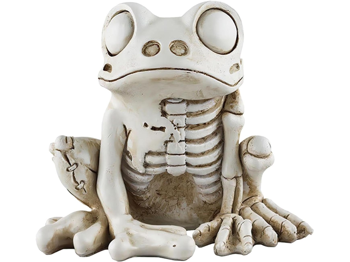 Modelo De Esqueleto De Sapo, Figura De Sapo,
