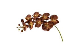Laxiscreed Flor De Phalaenopsis Artificial Xianwen Com 9 Cabeças, Cor Outono, Altura 104cm