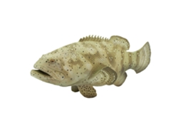Figura De Brincar SAFARI Goliath grouper