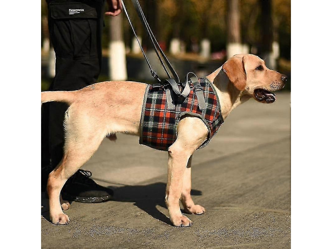 Cintas De Apoio Para Pernas Dianteiras De Cãessizes