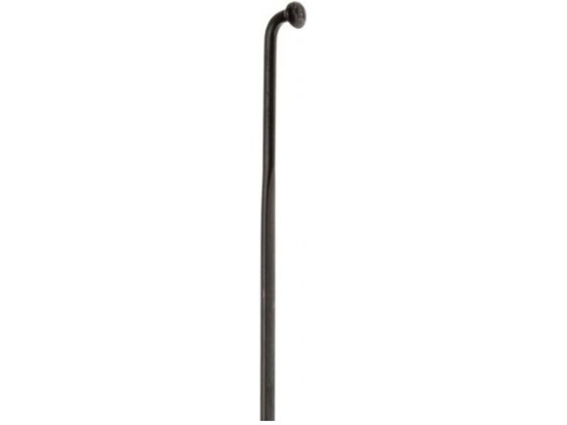 Raio MASSI Pack Plano Curvado 268