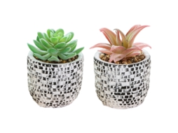 2 Peças de Flores Artificiais Bonsai Suculento Simulado Ornamentos Criativos Pequenos em Vaso NEVEANCE