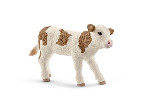 Figura  Vitelo Simmental