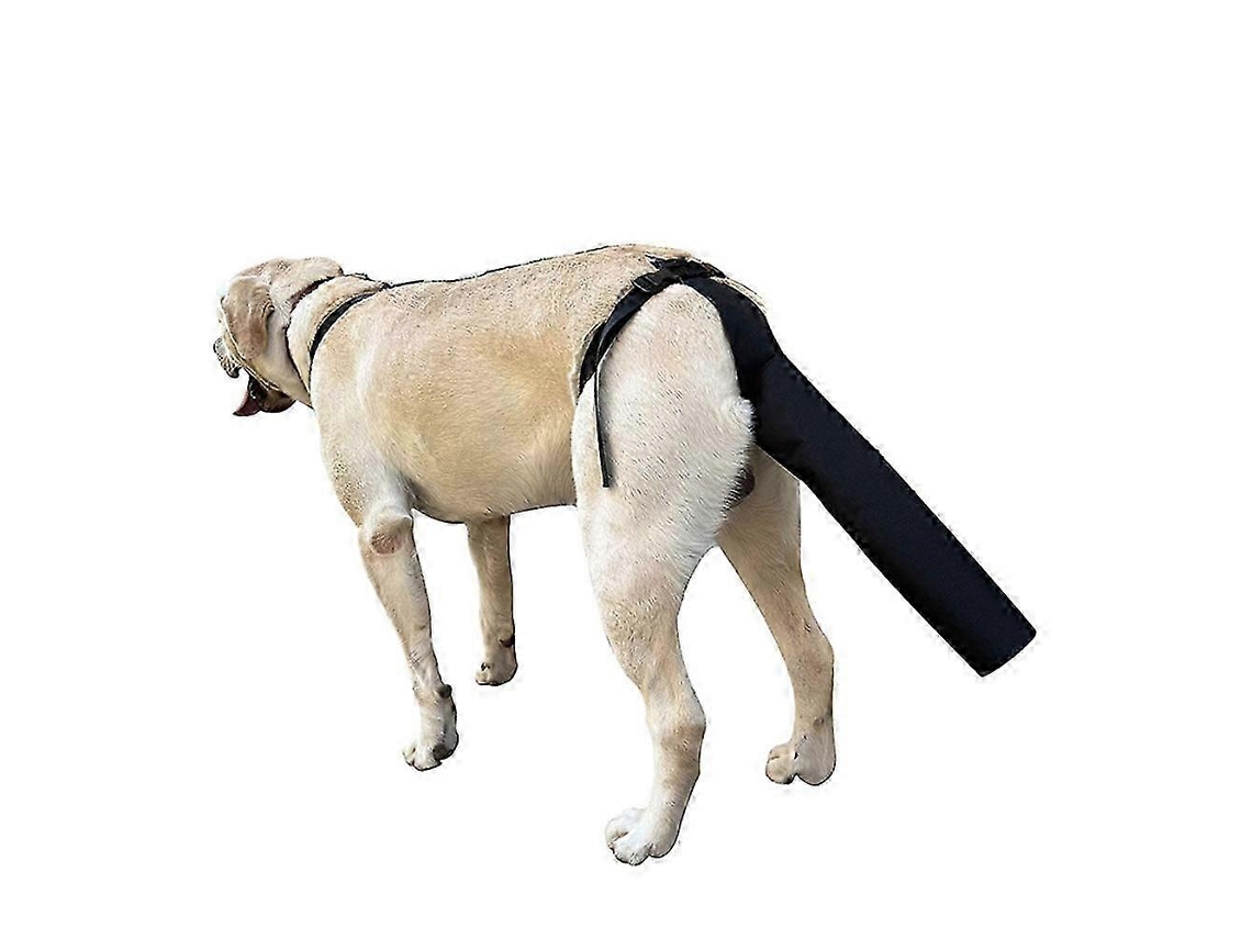 Protetor De Cauda Para Cachorro Capa De Cauda Para Feridassizem