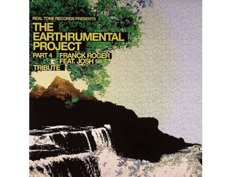 Vinil The Earthrumental Project Part 4 Real Tone Records