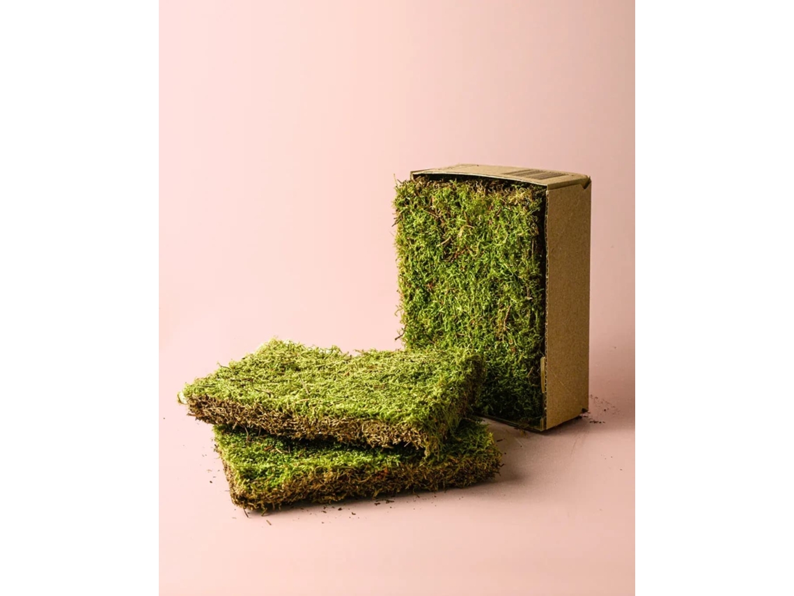 Musgo Natural Para Terrário | Base Decorativa E Retentora De Humidade | Pur Plant