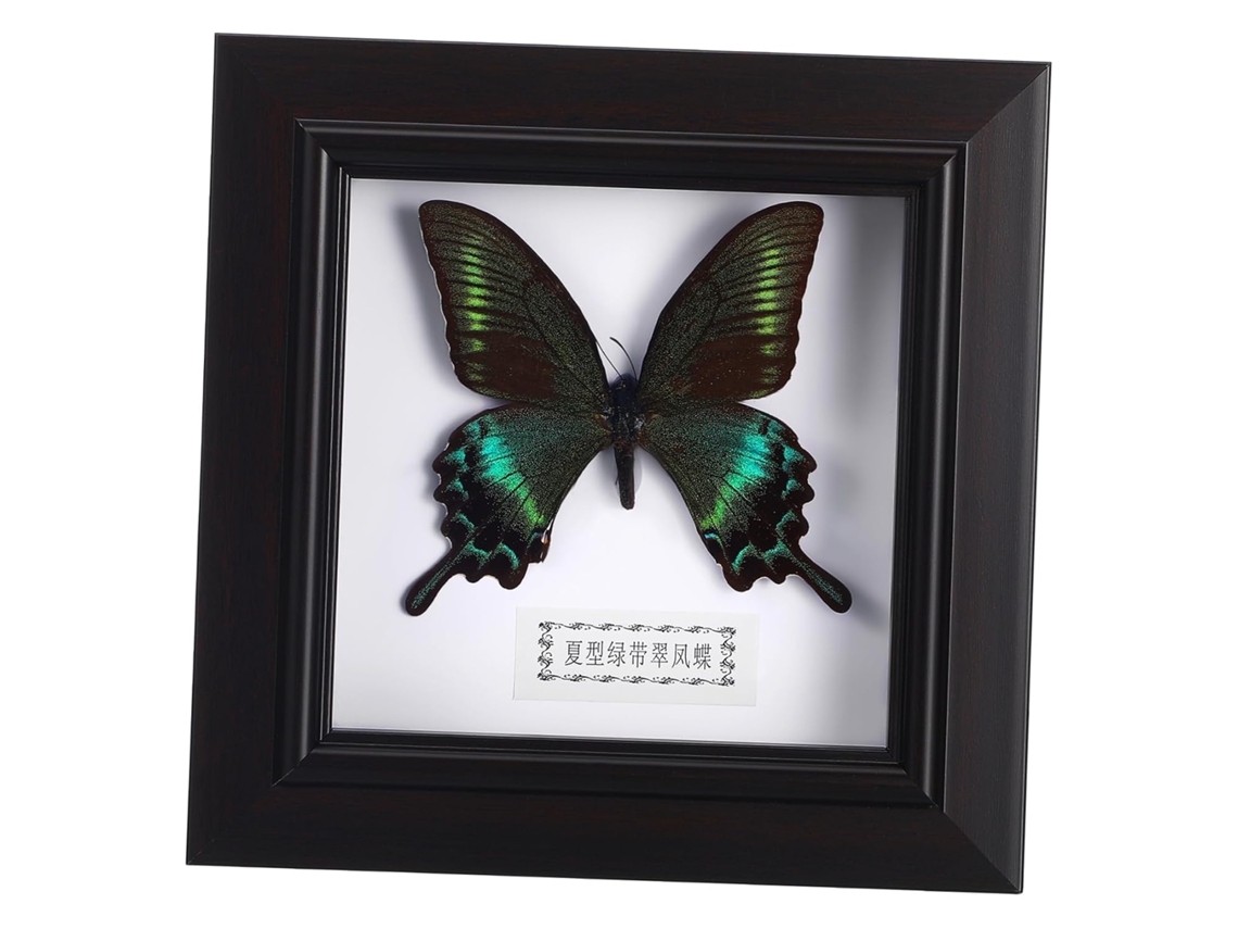 Moldura Para Decoração De Casa E Escritório